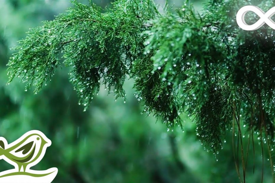Rainy Day • Relaxing Piano Music with Soft Rain Sounds | Sleep, Study, Relax