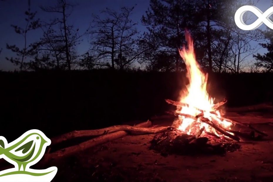 Relaxing Music & Campfire • Relaxing Guitar Music, Soothing Music, Calm Music