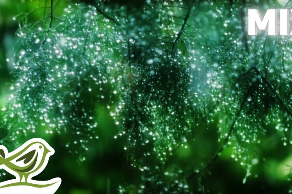 Beautiful Piano Music Mix with Rain Sounds • Relaxing Music by Peder B. Helland
