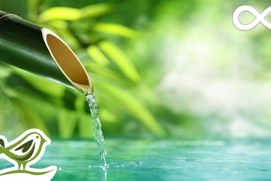 Relaxing Music & Water Sounds: Calm Piano Music, Sleep Music, Peaceful Music ★143