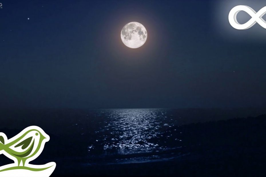 Sleep Music for 8 Hours • Ocean Waves, Fall Asleep Fast, Relaxing Music, Sleeping Music #138