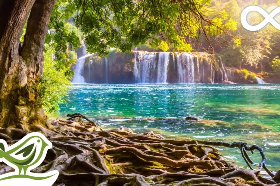 The Small Pond: Relaxing In A Nature Oasis With Harp Music