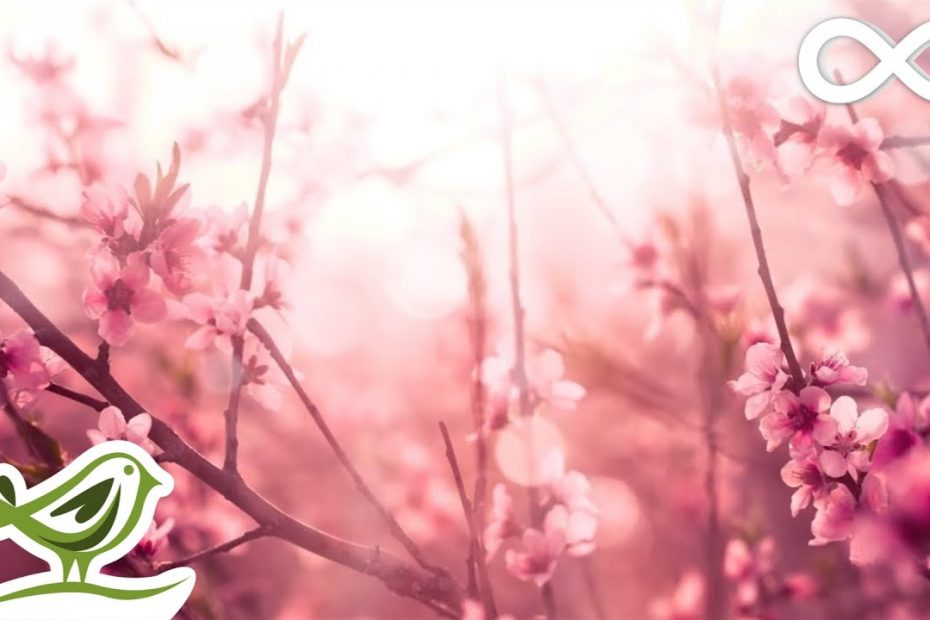 Beautiful Piano Music: Romantic Music, Relaxing Music, Sleep Music, Study Music ★139