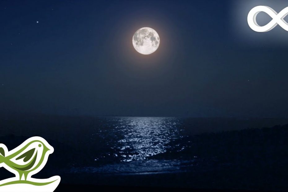 Ocean Waves：伴著 Peder B. Helland 的輕鬆睡眠音樂入睡