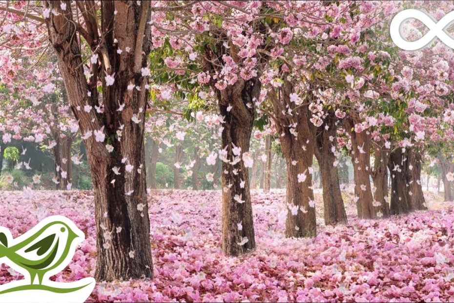 Beautiful Day • Romantic and Beautiful Piano Music for Relaxation