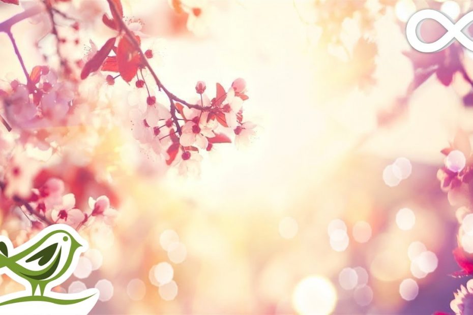9 Hours of Relaxing Sleep Music • Soft Piano Music, Fall Asleep Fast #98