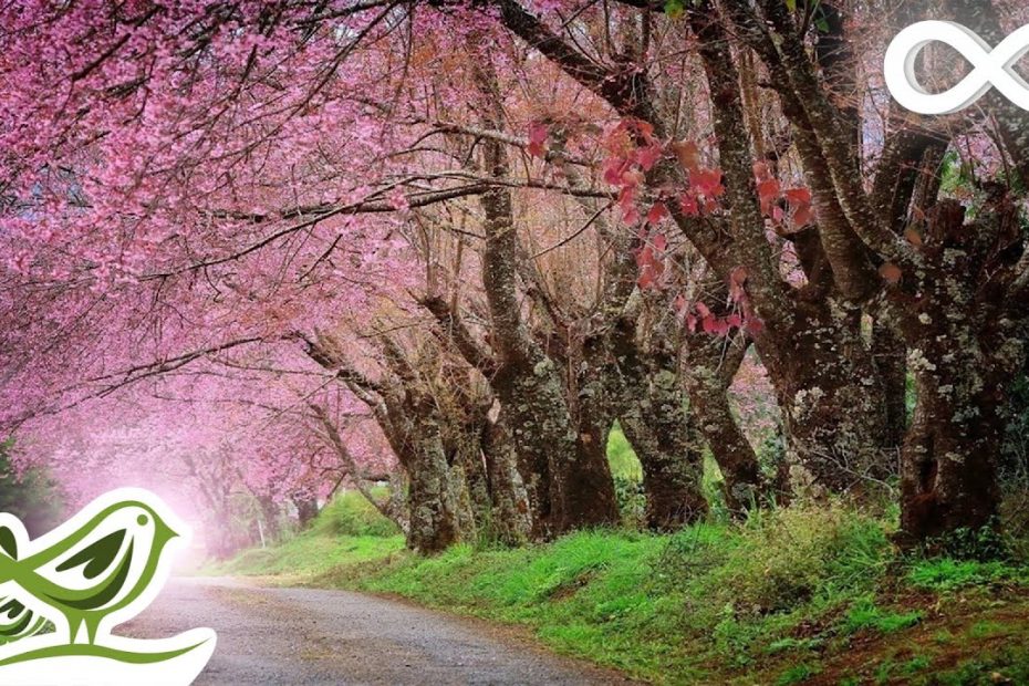 Relaxing Piano Music • Romantic Beautiful Music, Relaxation Music, Sleep Music #92
