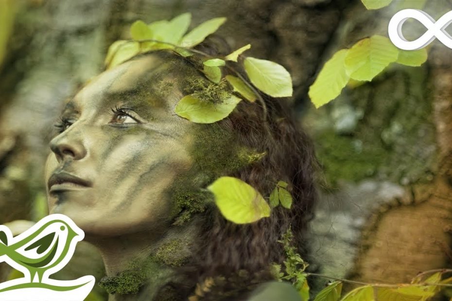 Dance of Life: Relaxing Celtic Music for Meditation & Sleep by Peder B. Helland