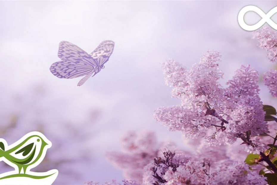 Always: Soft, Beautiful & Relaxing Piano Music by Peder B. Helland with Nature Photos