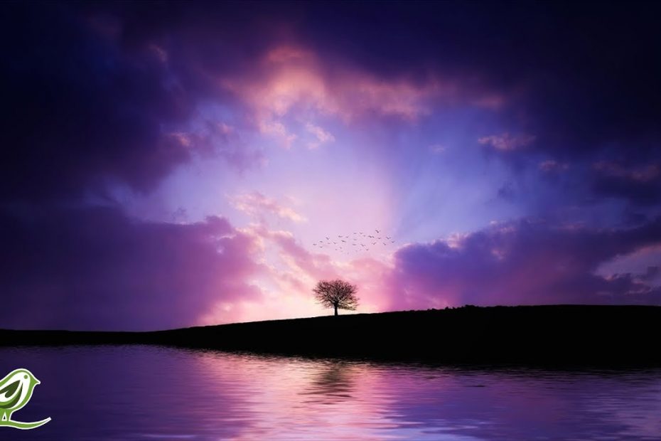 Relaxing Guitar Music: Soft Music, Peaceful Music, Soothing Music, Healing Music ★34
