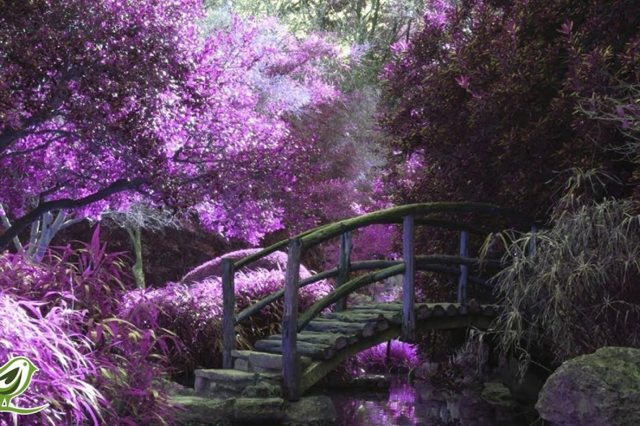 3 Hours of Beautiful Relaxing Instrumental Music - Study, Relax, Background ★31