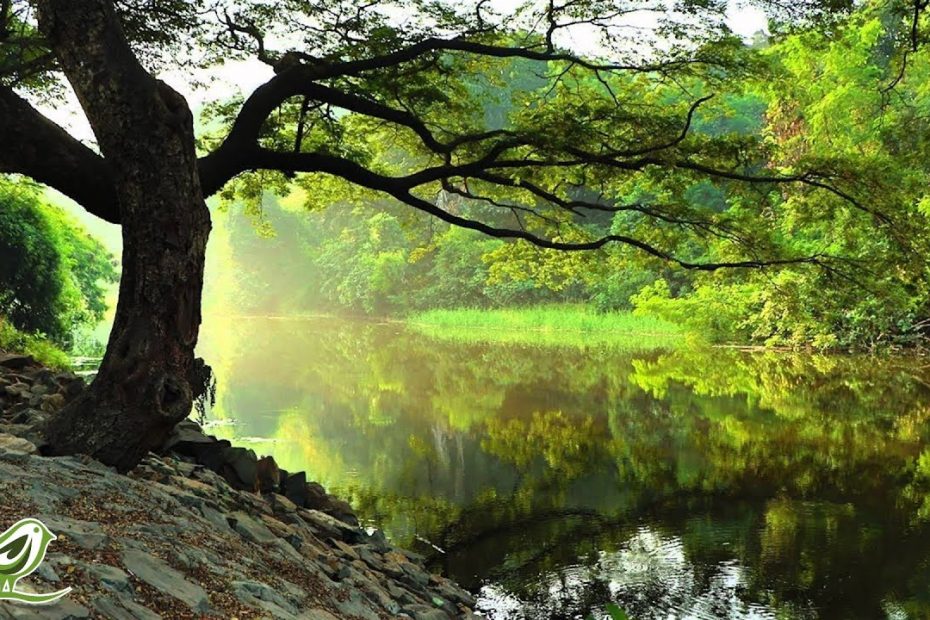 Relaxing Piano Music: Relaxation, Yoga, Spa, Massage & Background ★25