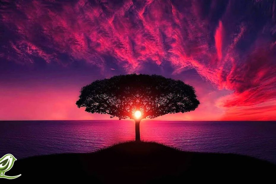 1 Hour of Relaxing Sleep Music: Piano, Flute, Guitar & Deep Atmosphere ★16