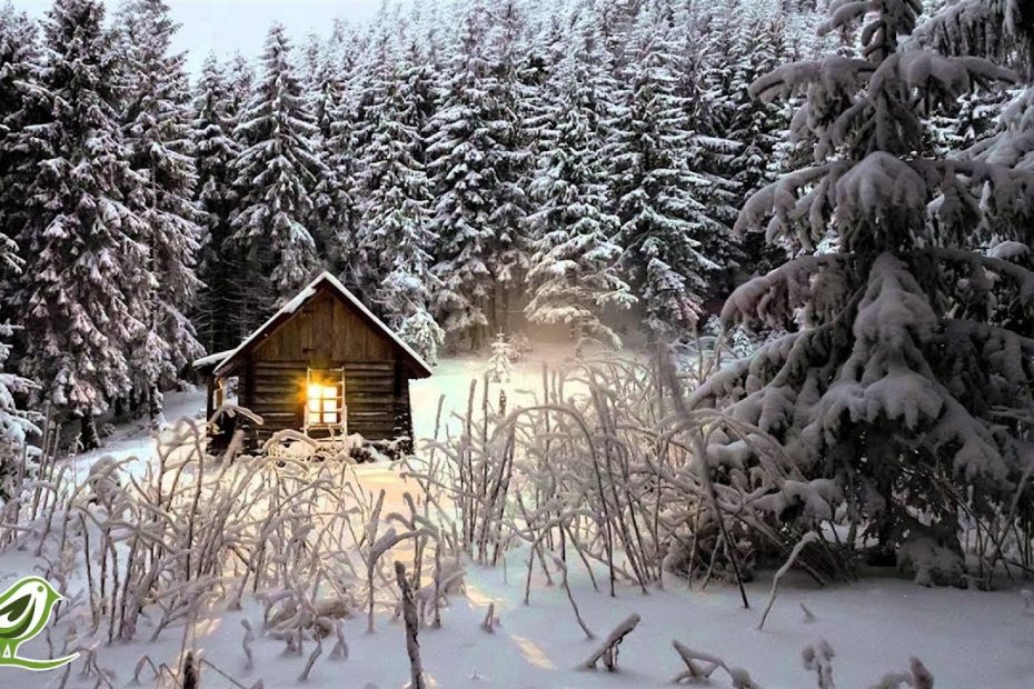 Relaxing Winter Piano Music: Meditation, Sleep, Relaxation & Background ★10