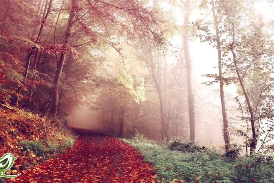 3 Hours of Beautiful Romantic Relaxing Harp Music | Instrumental Music ★6