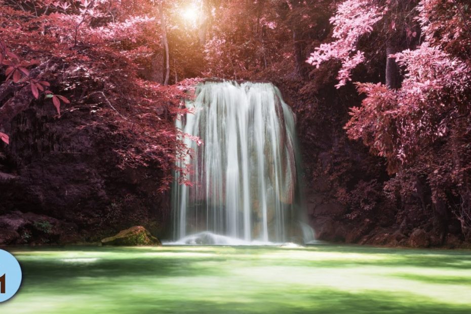 3 HOURS Relaxing Music with Babbling Brook Nature Sounds Meditation ❦823