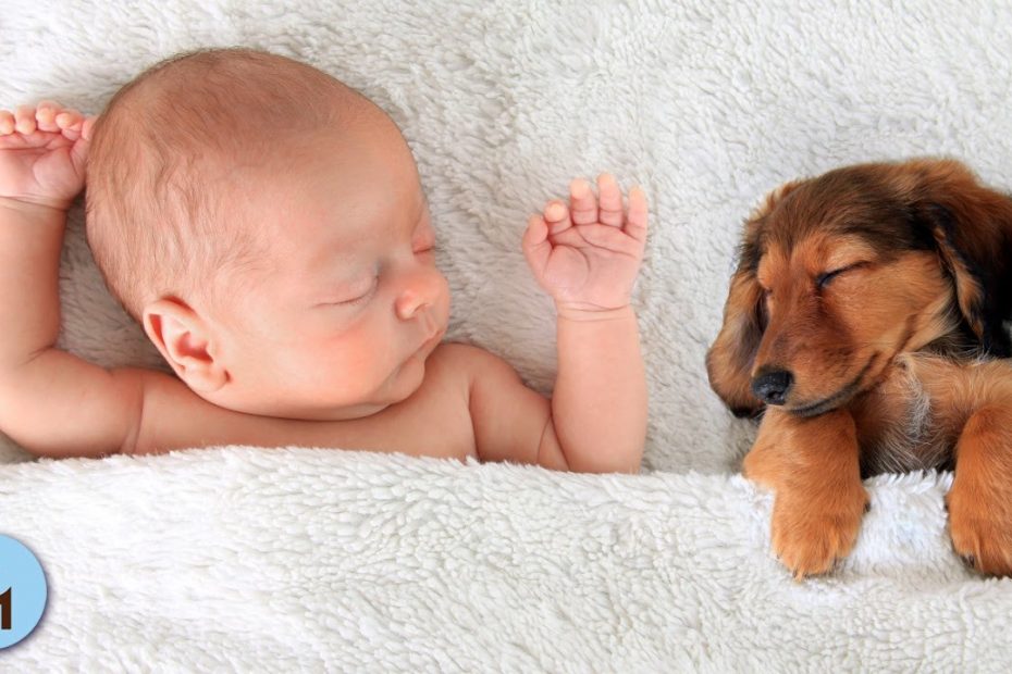 Musique pour Dormir: Musique Douce 100% Détente, Berceuse Pour Enfant, Musique Calmer le Stress ✪818