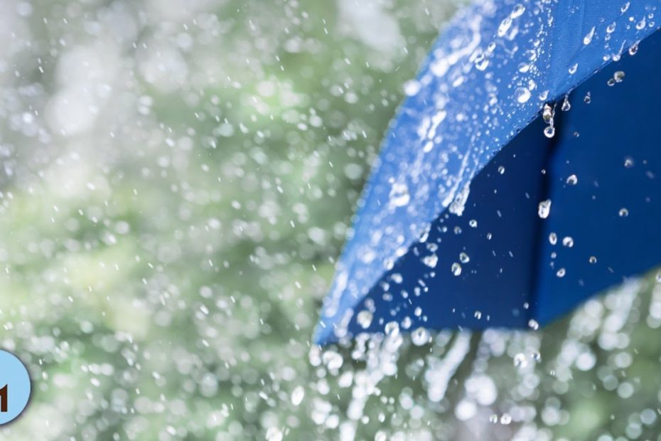 Nature Sounds: Rain Sounds One Hour White Noise for Sleeping, Sleep Aid for Everybody ☂821