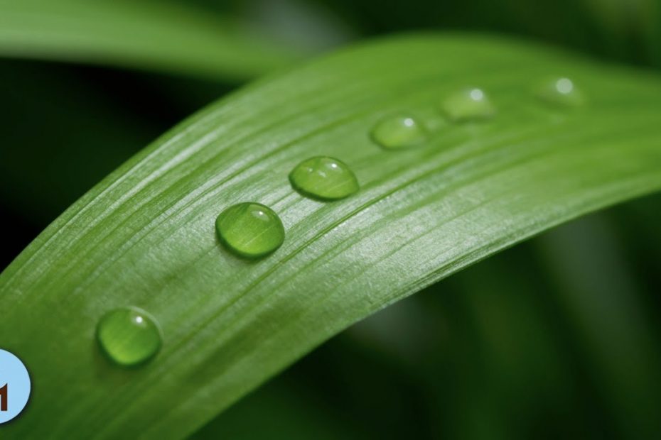 Relaxation Music for Anxiety, Healing Therapy, Anxiety and Chakra Balancing, Clear Negativity