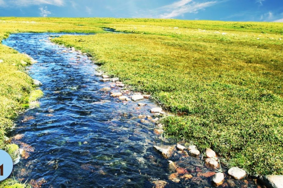3 HOURS Relaxing Music with Babbling Brook Nature Sounds Meditation ❦817