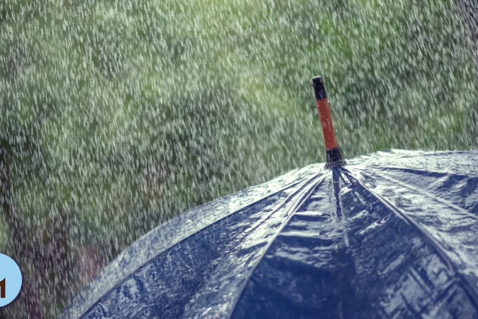 Nature Sounds: Rain Sounds One Hour White Noise for Sleeping, Sleep Aid for Everybody ☂818