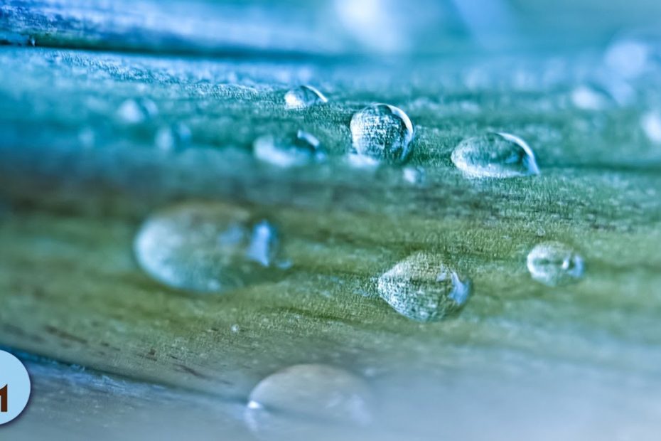 Rain Sounds 10 Hours:The Sound of Rain Meditation,Autogenic Training,Deep Sleep,Relaxing Sounds ❀814