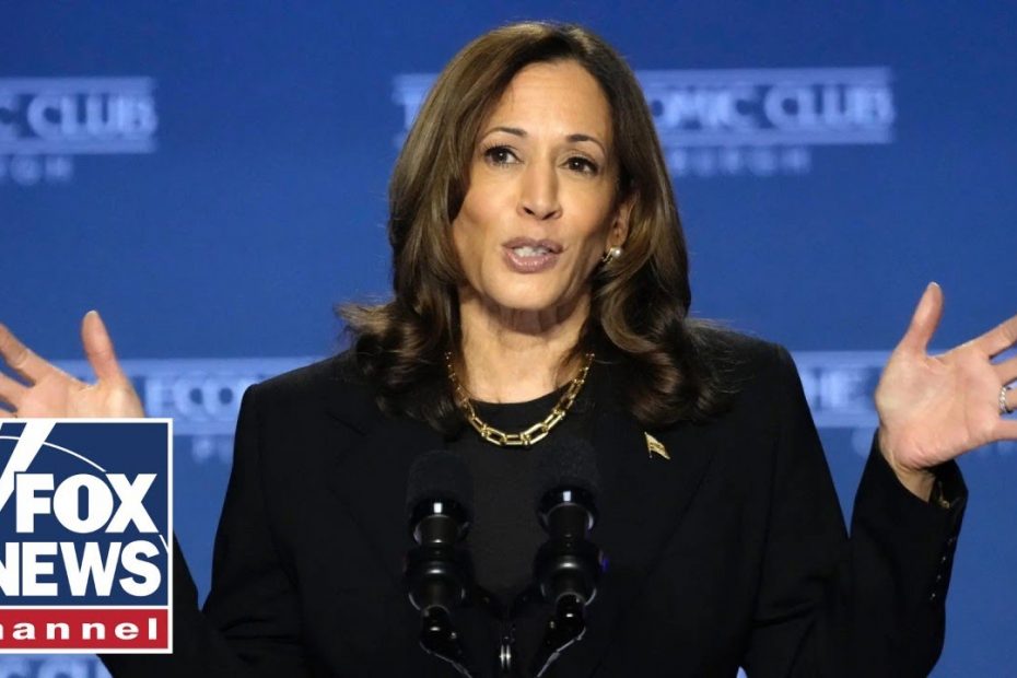 'LAND OF EXPLOITATION': CEO issues stark warning on possible Harris presidency