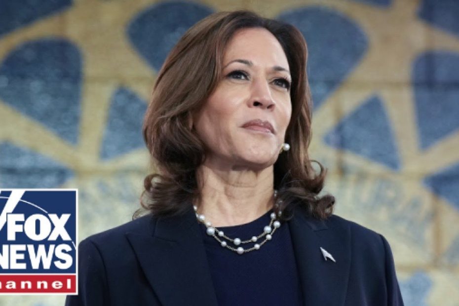 'NO PATH FOR HARRIS': Losing key voting bloc could spell doom for Dems, Michigan Republican warns
