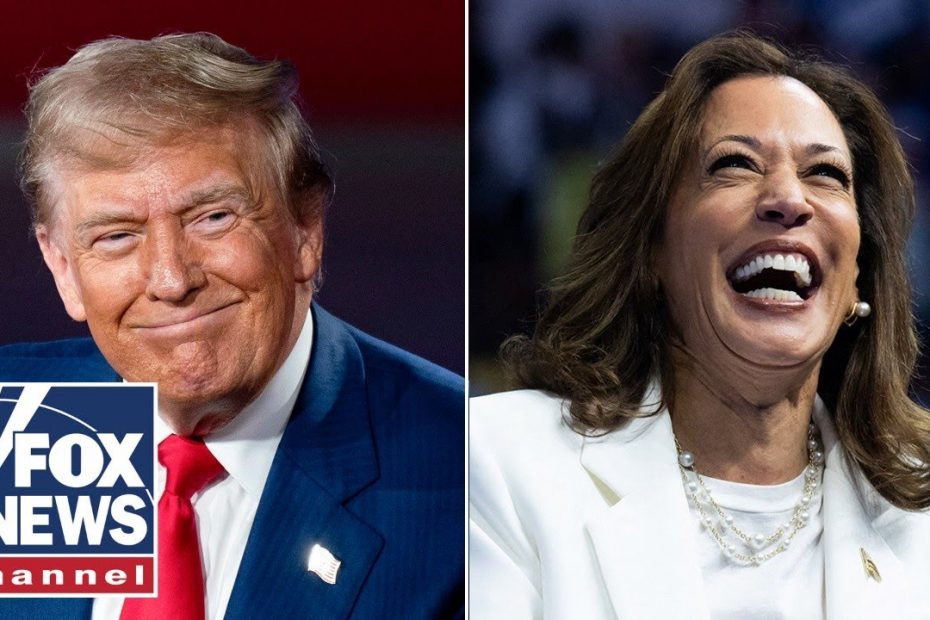 Longtime Dem strategist warns party's blue wall is 'eroding'