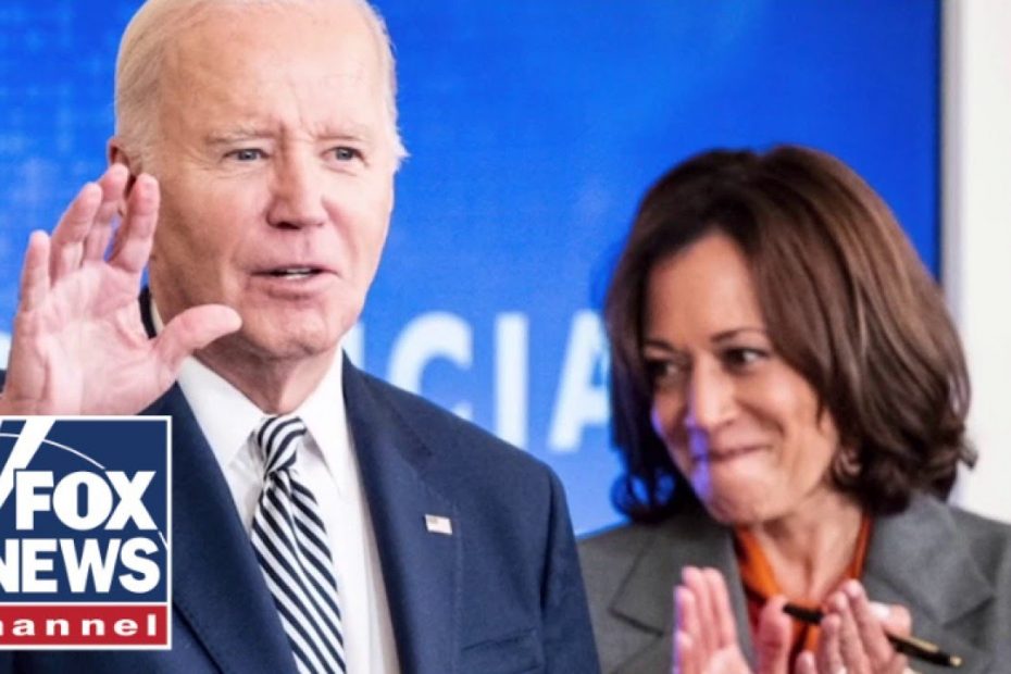 Biden-Harris admin removed Trump border policies 'out of spite': Patty Morin