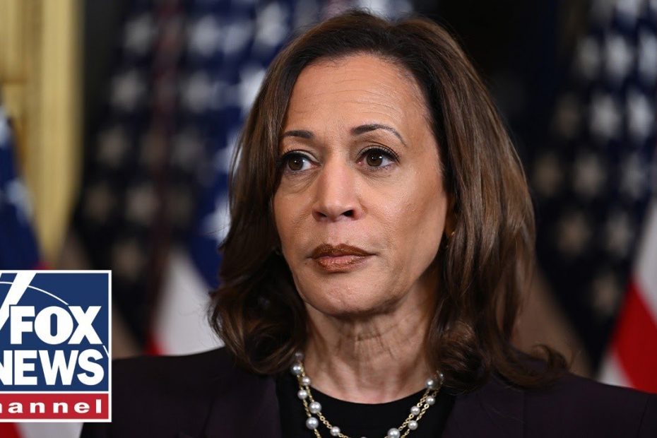Kamala Harris is 'tanking' at the 'worst possible time,' GOP lawmaker says