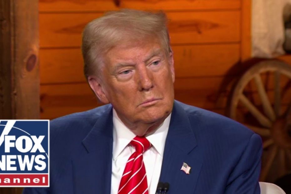Trump hits back after being labeled 'dangerous' by Dems