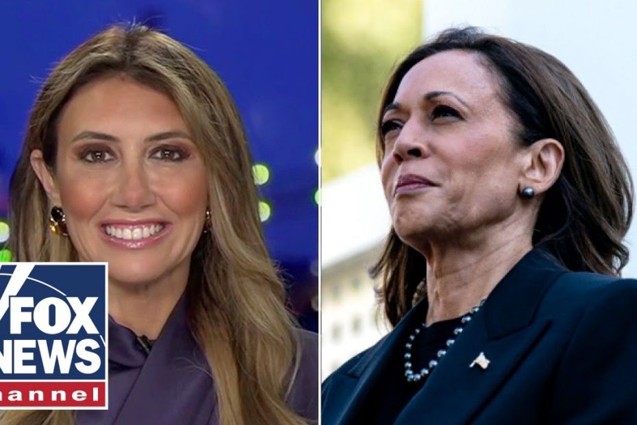 Alina Habba: You can't make this up