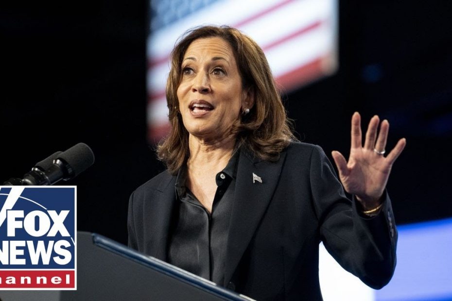 YouTuber on Kamala Harris’ weed pitch to Black voters: ‘It’s disrespectful’
