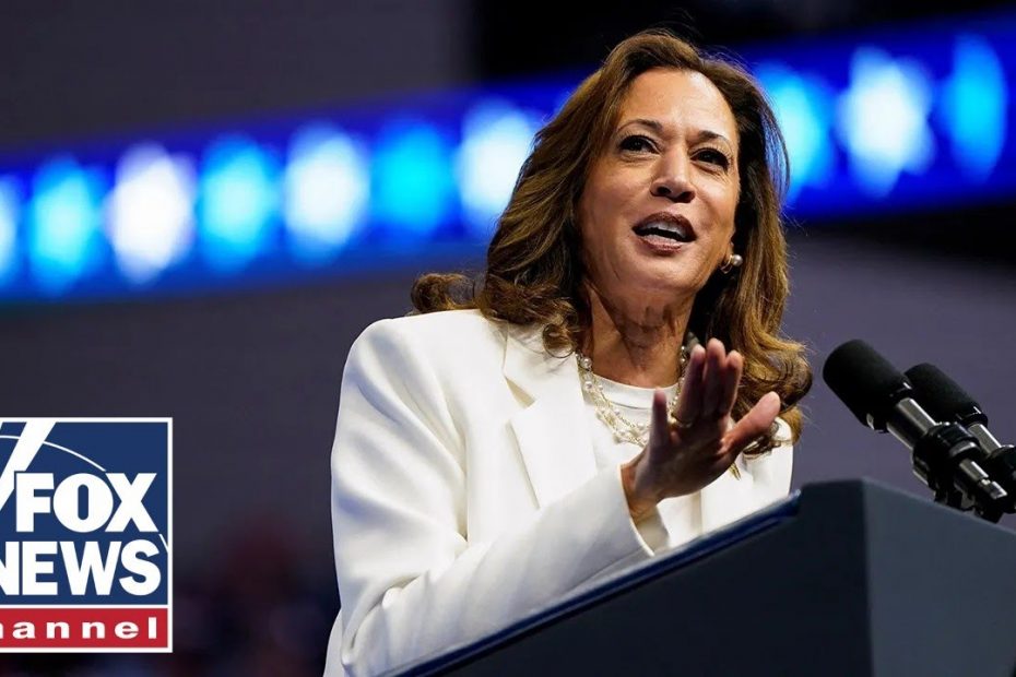 Kamala Harris ‘broke’ the border: Former acting ICE director