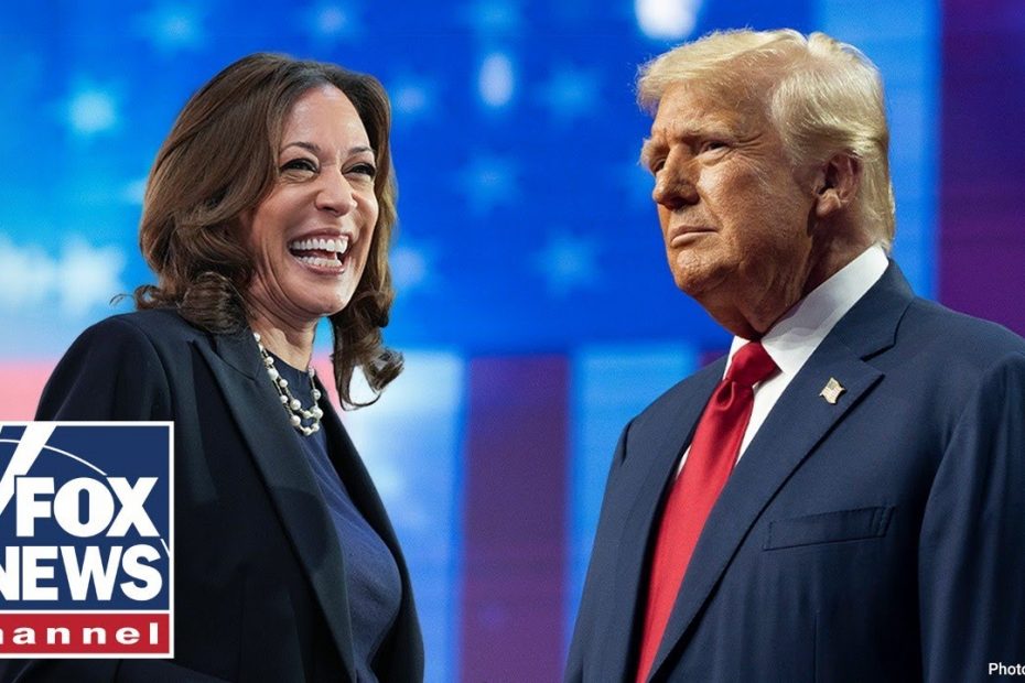 Democratic strategist reveals ‘dirty little secret’ about 2024 race
