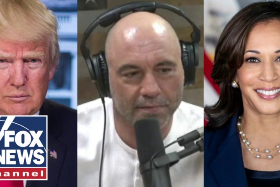 MSNBC analyst mocked for 'ridiculous' theory on Trump
