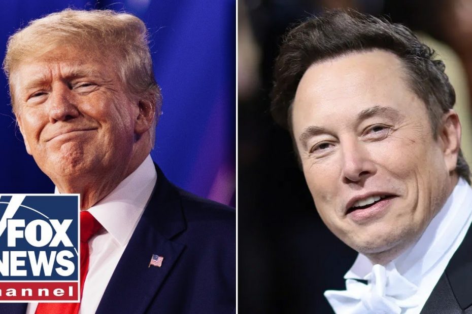 Elon Musk is a ‘great’ businessman and cost-cutter: Donald Trump