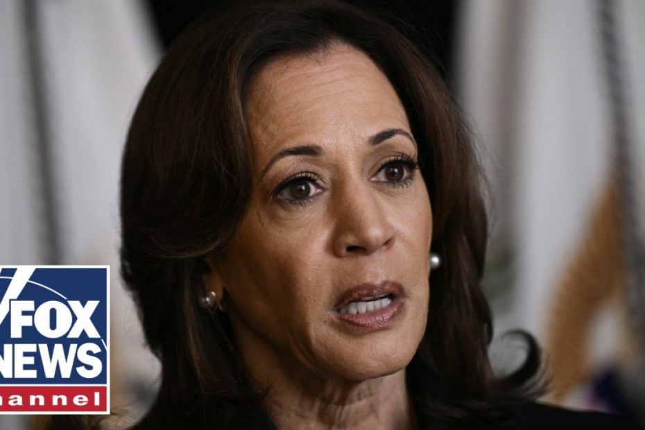 Dems 'filter everything' through 'identity politics': A.J. Rice
