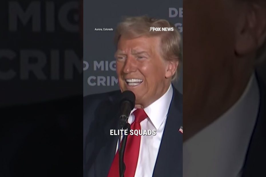 Trump vows to end illegal migrant crime gangs in the US