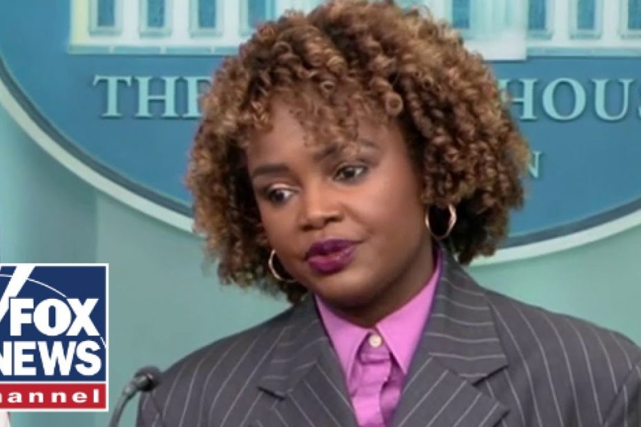 Karine Jean-Pierre: 'The whole premise of your question is misinformation'