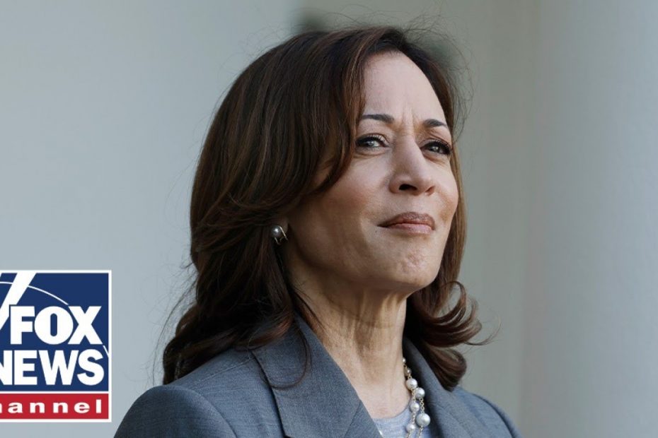 Sean Duffy: Kamala Harris' border trip is an 'outrageous' political move