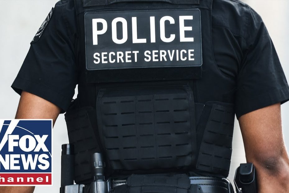 Ex-DHS adviser says 'gone are the days' of the 'cookie-cutter' approach for presidential protection