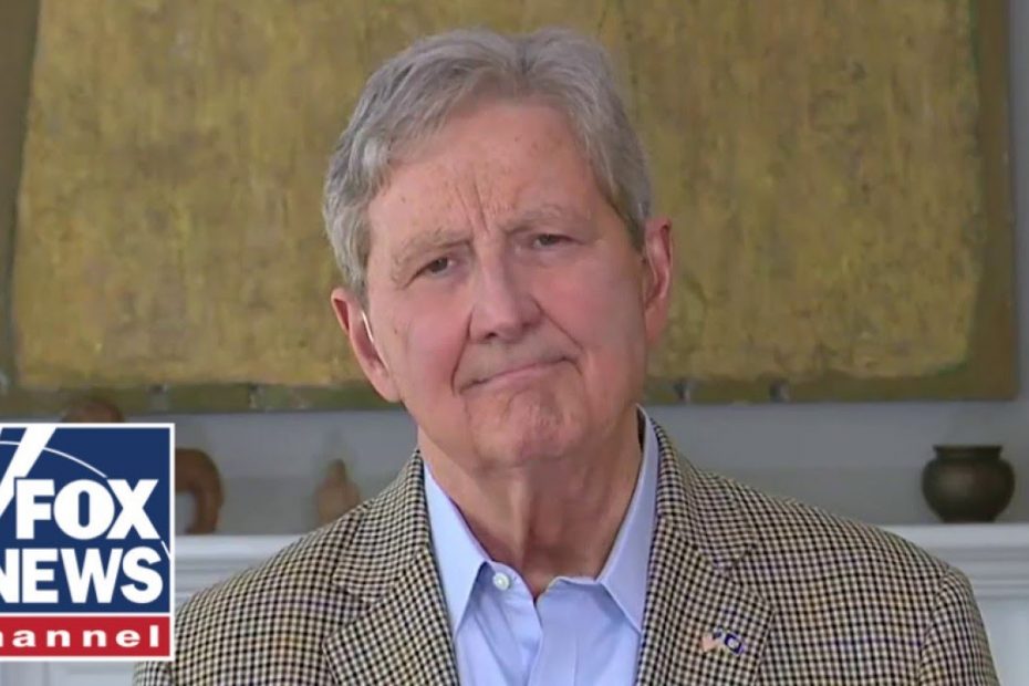 John Kennedy: Whoever crafted Kamala Harris' economic plan wouldn’t be in charge of a ham sandwich