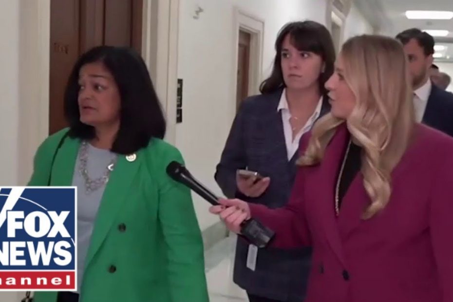 Dems confronted on calling Trump 'threat to democracy'