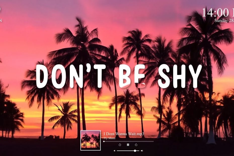 Tiësto & Karol G - Don't Be Shy (SME REMIX & FLY MUSIC)