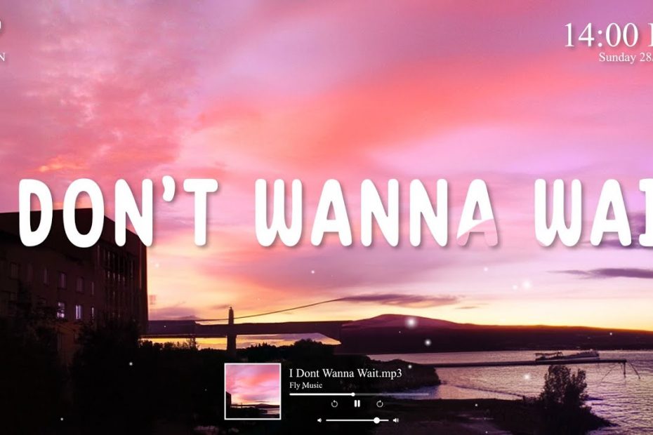 I Don't Wanna Wait (SME REMIX) | FLY MUSIC