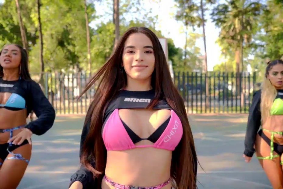 Popular Shuffle Dance Music Mix 2017 Best Electro Melbourne Bounce Party Shuffle Girls Video