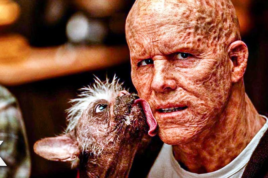 New DEADPOOL 3 Images Show Off Sidekick Dogpool! - KinoCheck News