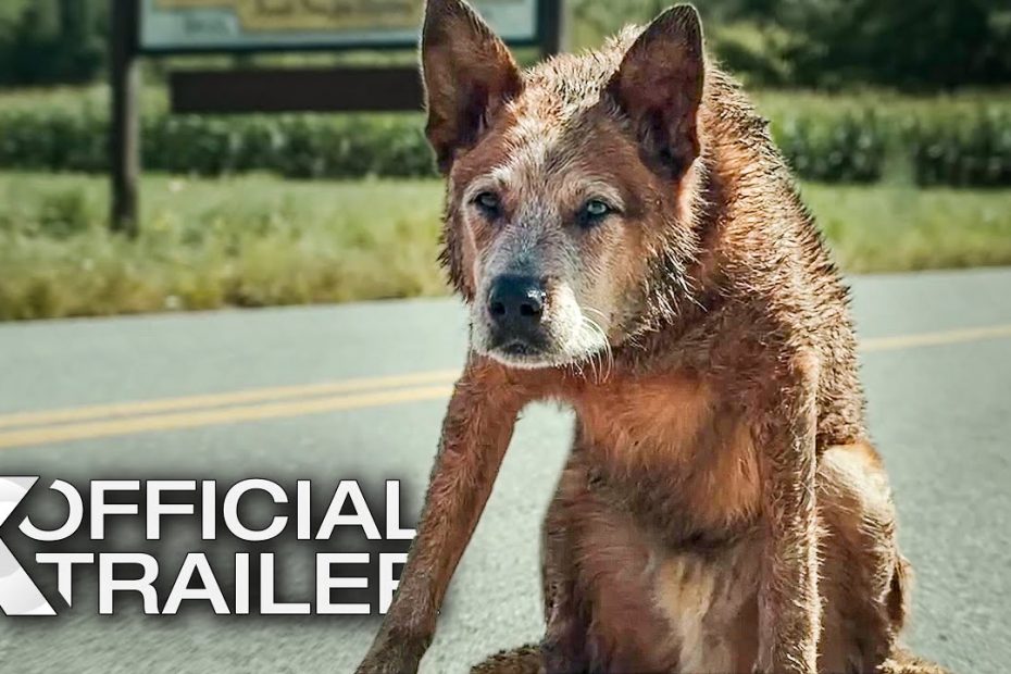 Pet Sematary: Bloodlines Trailer (2023)